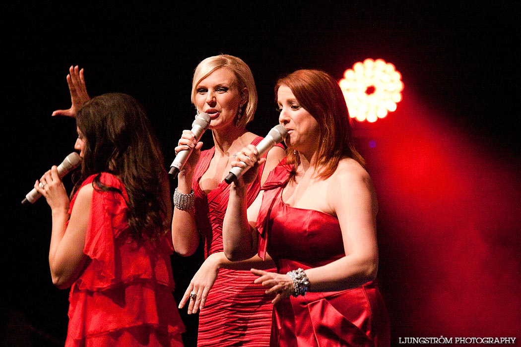 Julkonsert,mix,Arena Skövde,Skövde,Sverige,Konsert/Gala,,2010,58743