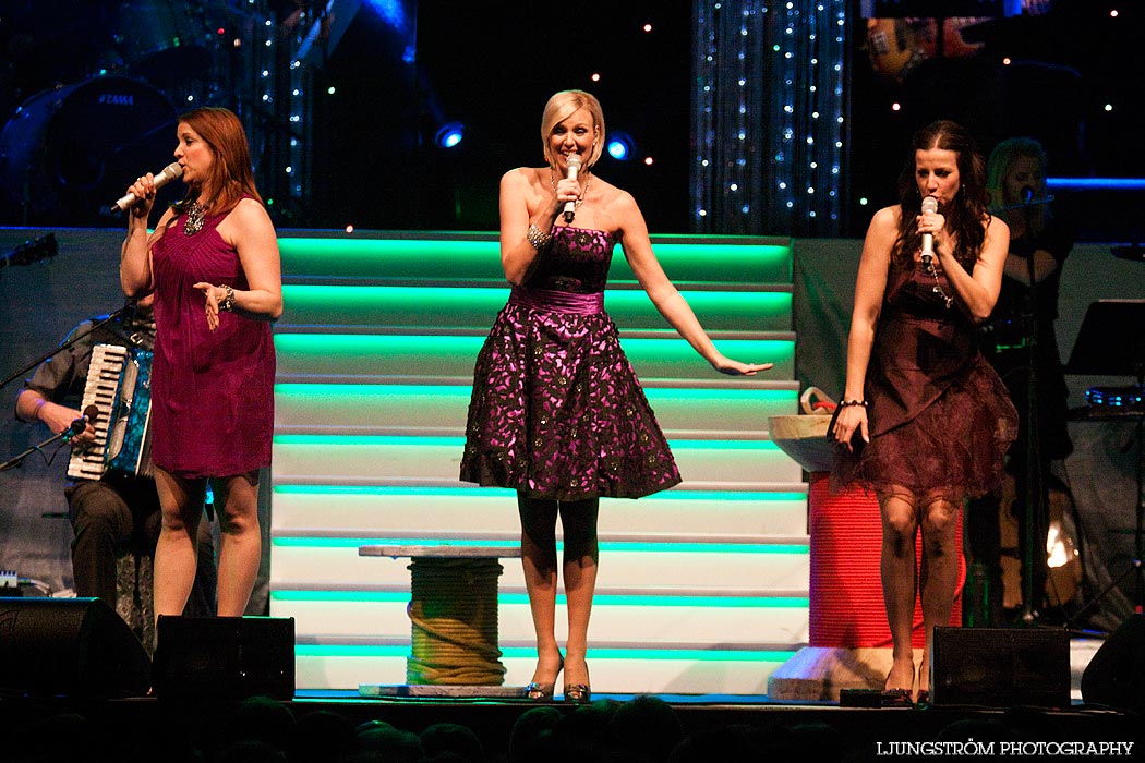 Julkonsert,mix,Arena Skövde,Skövde,Sverige,Konsert/Gala,,2010,58764