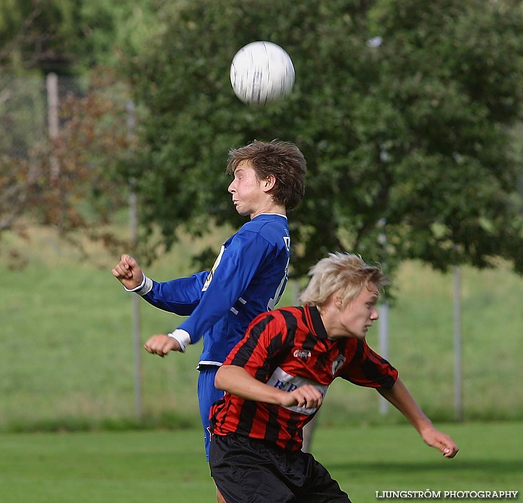 DM IFK Skövde FK P16-Falköpings FK P16,herr,Lillegårdens IP,Skövde,Sverige,Fotboll,,2005,92183