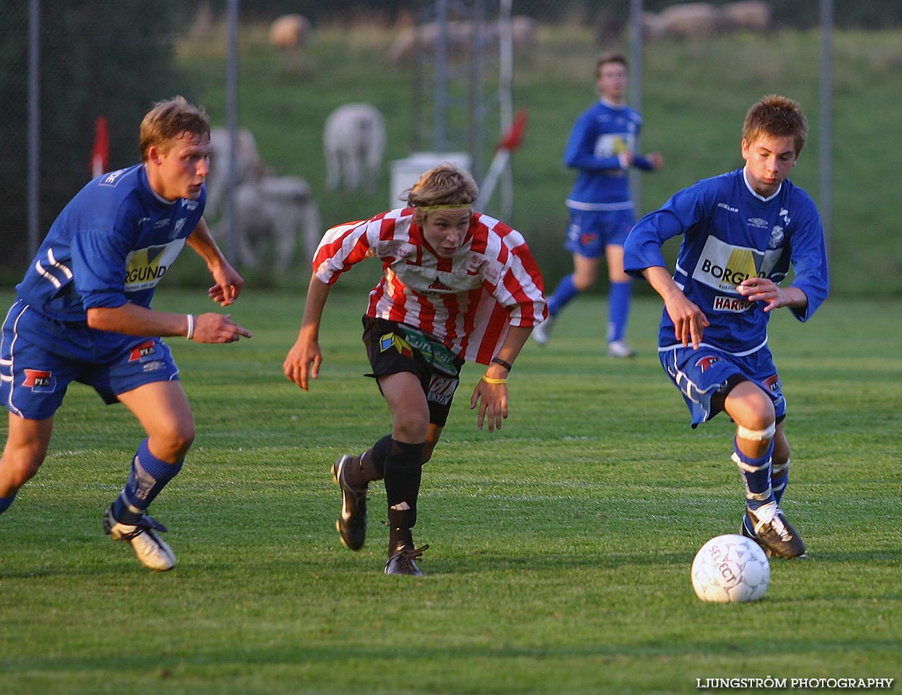 IFK Skövde FK P16-IF Heimer P16 5-2,herr,Lillegårdens IP,Skövde,Sverige,Fotboll,,2005,92206