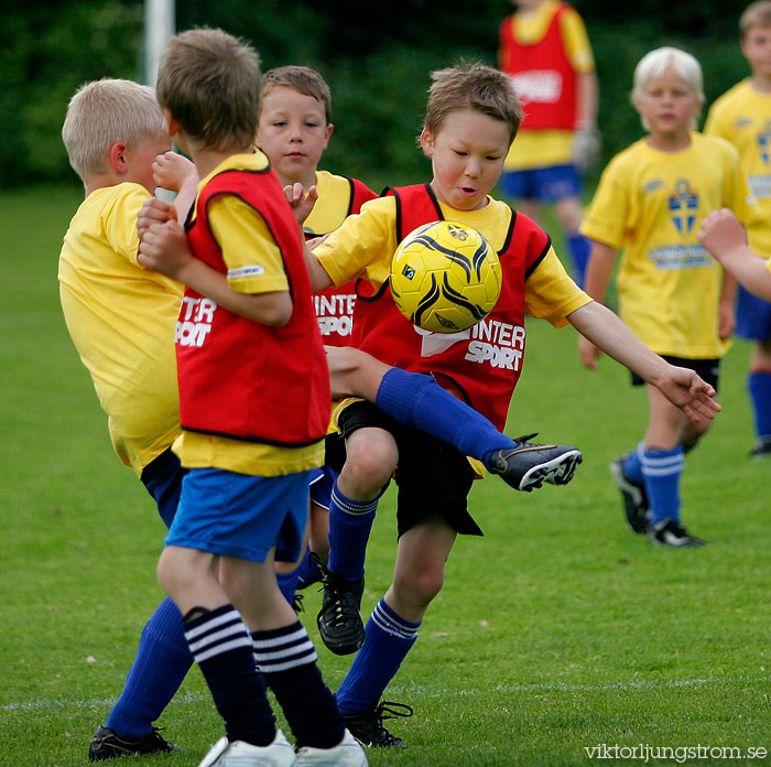 Landslagets Fotbollsskola IFK Skövde FK,herr,Lillegårdens IP,Skövde,Sverige,Fotboll,,2009,18017