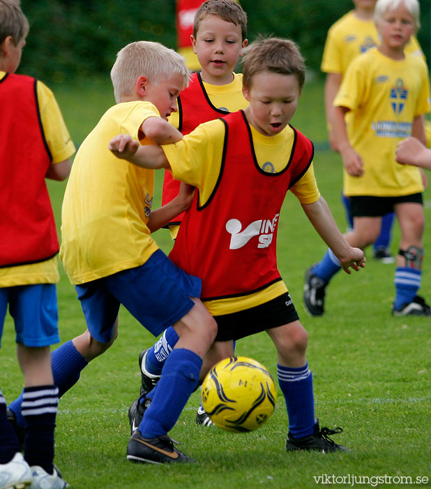 Landslagets Fotbollsskola IFK Skövde FK,herr,Lillegårdens IP,Skövde,Sverige,Fotboll,,2009,18018