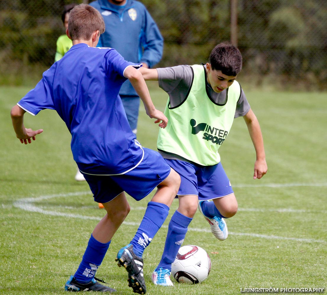 Landslagets Fotbollsskola IFK Skövde FK,herr,Lillegårdens IP,Skövde,Sverige,Fotboll,,2011,119370