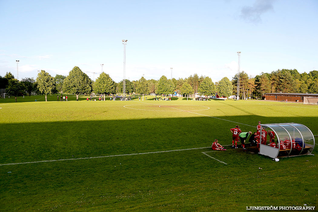 Skadevi Cup 2013,mix,Lillegårdens IP,Skövde,Sverige,Fotboll,,2013,79561