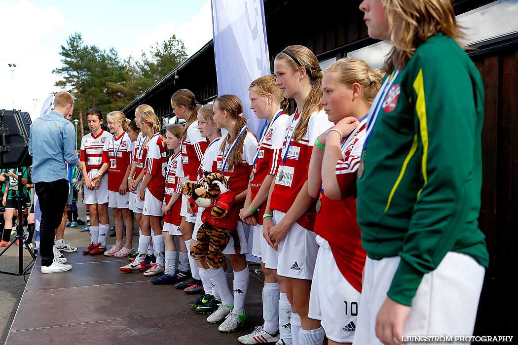 Skadevi Cup 2013,mix,Lillegårdens IP,Skövde,Sverige,Fotboll,,2013,79617