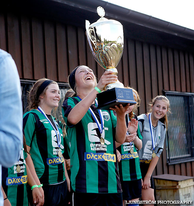 Skadevi Cup 2013,mix,Lillegårdens IP,Skövde,Sverige,Fotboll,,2013,79646