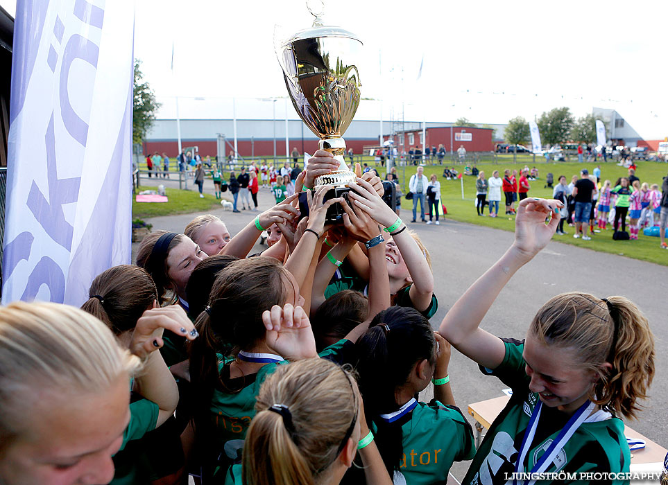 Skadevi Cup 2013,mix,Lillegårdens IP,Skövde,Sverige,Fotboll,,2013,79651