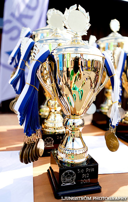 Skadevi Cup 2013,mix,Lillegårdens IP,Skövde,Sverige,Fotboll,,2013,79682