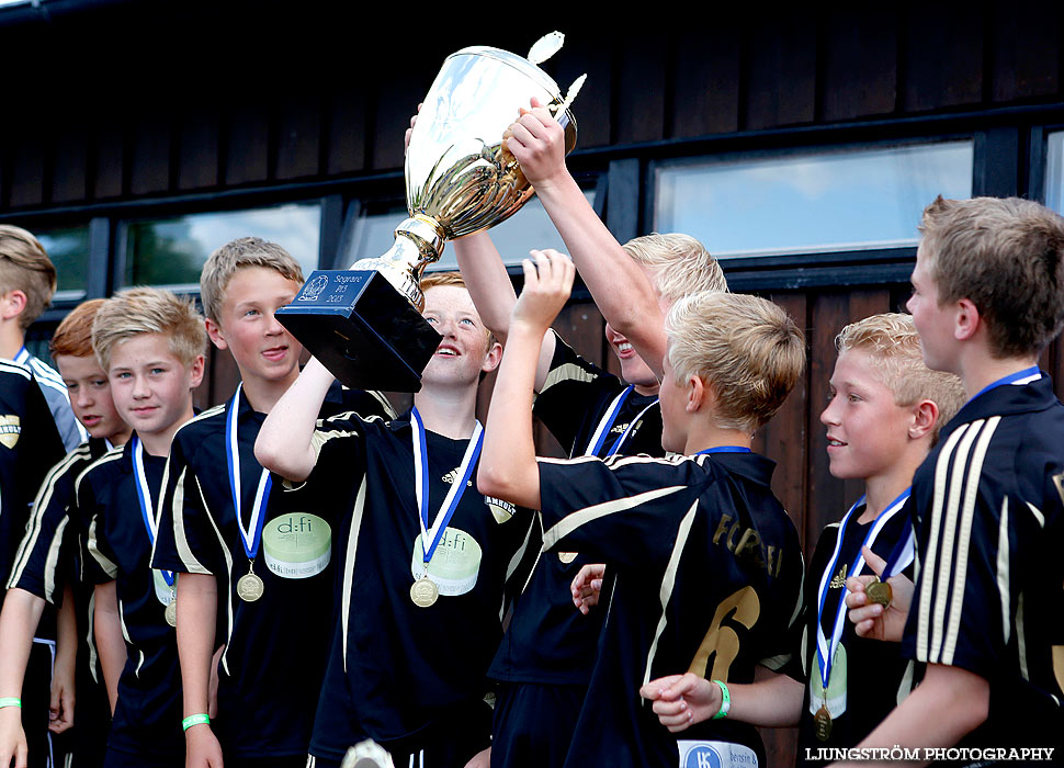 Skadevi Cup 2013,mix,Lillegårdens IP,Skövde,Sverige,Fotboll,,2013,79718