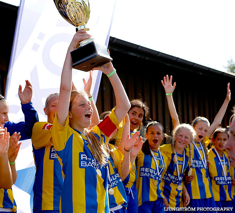 Skadevi Cup 2013,mix,Lillegårdens IP,Skövde,Sverige,Fotboll,,2013,79744