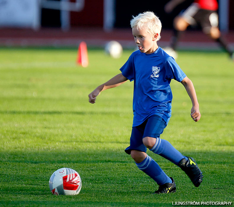 IFK Skövde FK-Ulvåkers IF 4-0,herr,Södermalms IP,Skövde,Sverige,Fotboll,,2013,72364