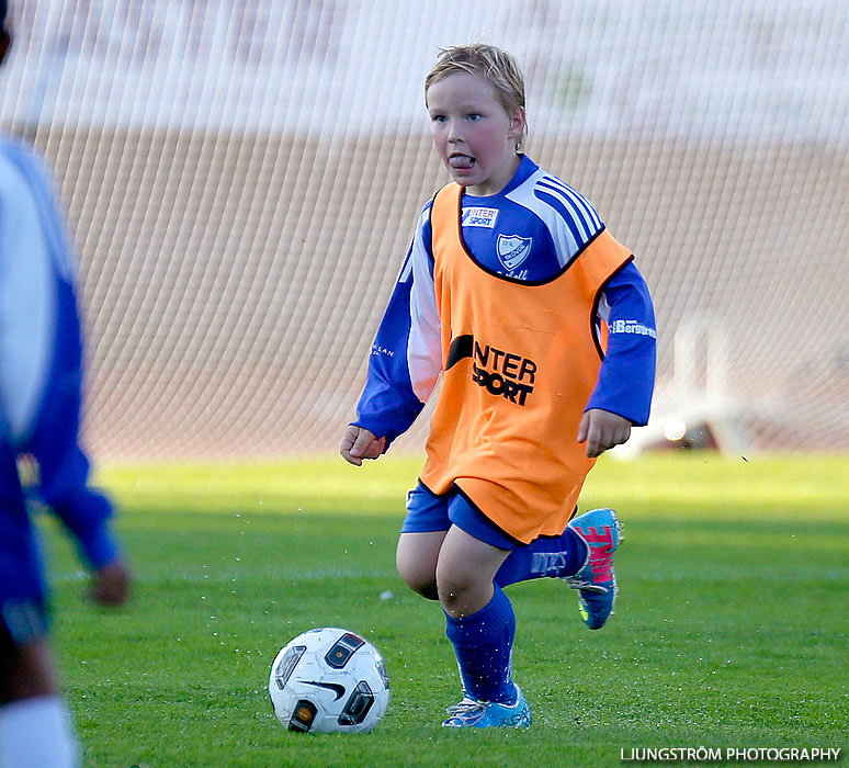 IFK Skövde FK-Ulvåkers IF 4-0,herr,Södermalms IP,Skövde,Sverige,Fotboll,,2013,72399