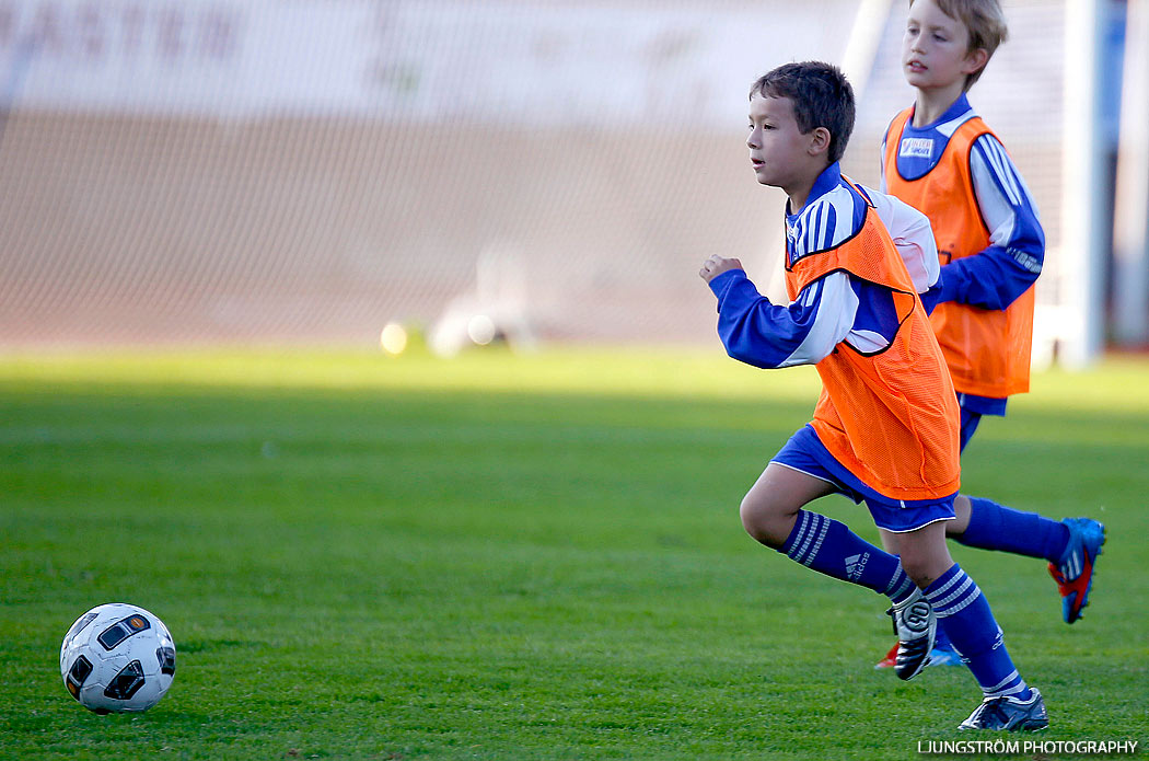 IFK Skövde FK-Ulvåkers IF 4-0,herr,Södermalms IP,Skövde,Sverige,Fotboll,,2013,72404