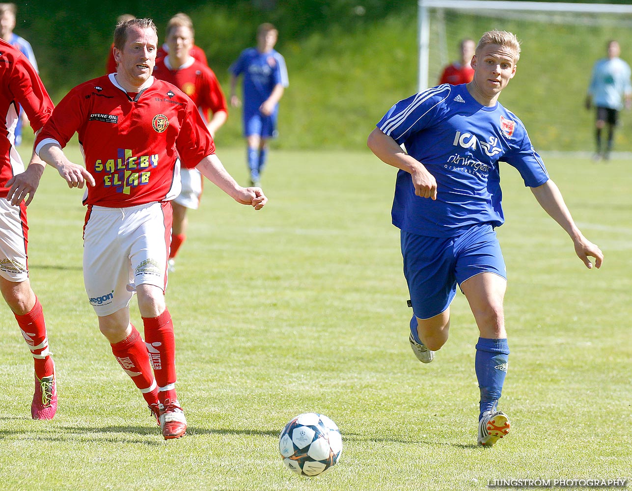 Lerdala IF-Saleby IF 4-3,herr,Lerdala IP,Lerdala,Sverige,Fotboll,,2014,89823