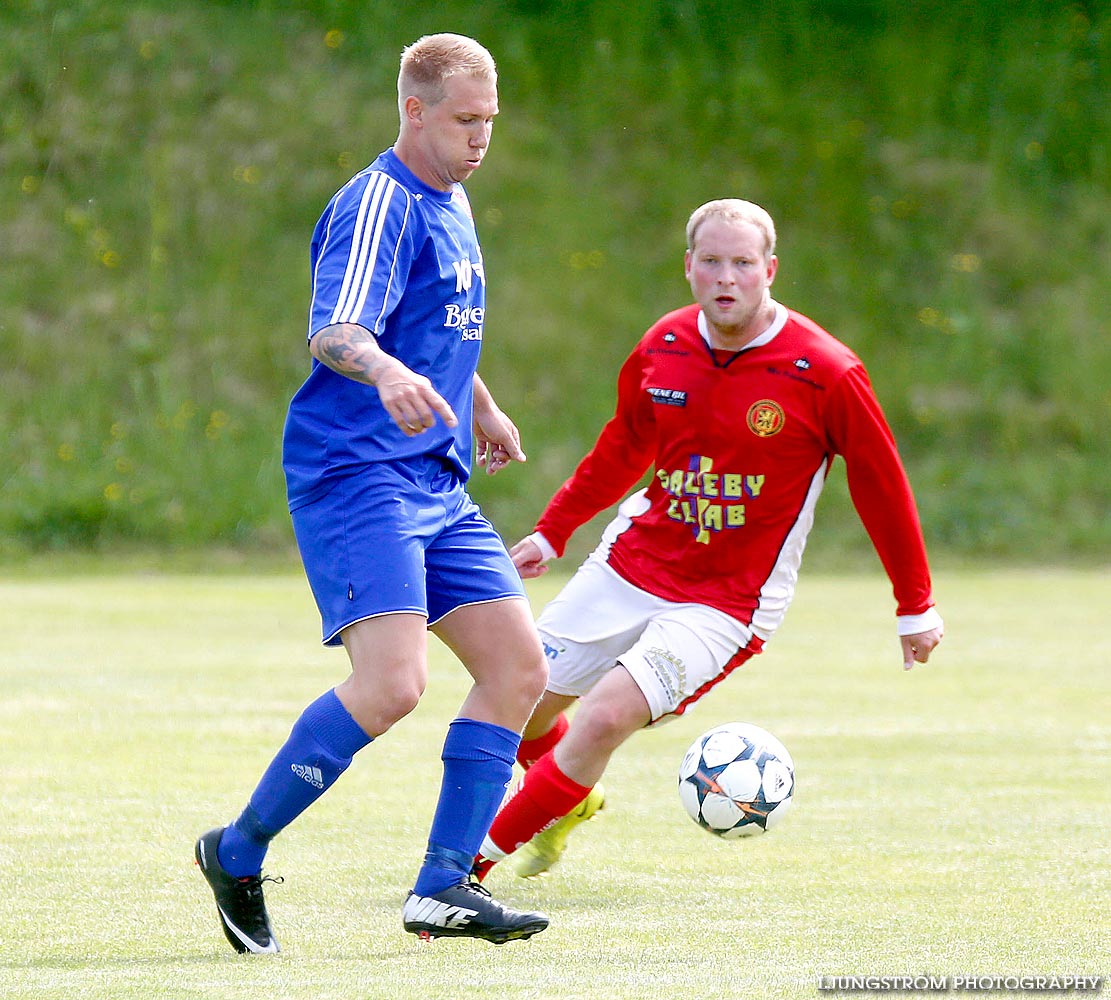 Lerdala IF-Saleby IF 4-3,herr,Lerdala IP,Lerdala,Sverige,Fotboll,,2014,89840