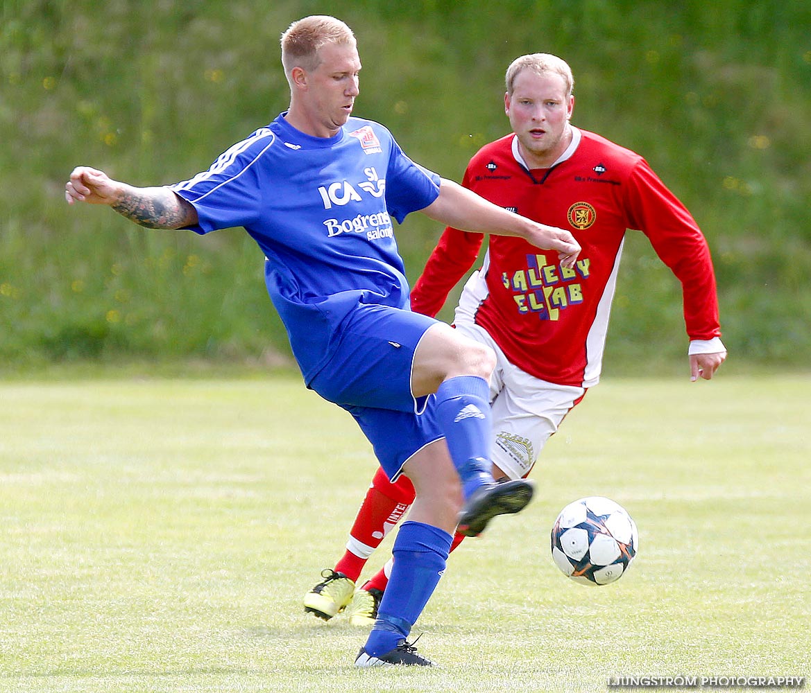 Lerdala IF-Saleby IF 4-3,herr,Lerdala IP,Lerdala,Sverige,Fotboll,,2014,89841