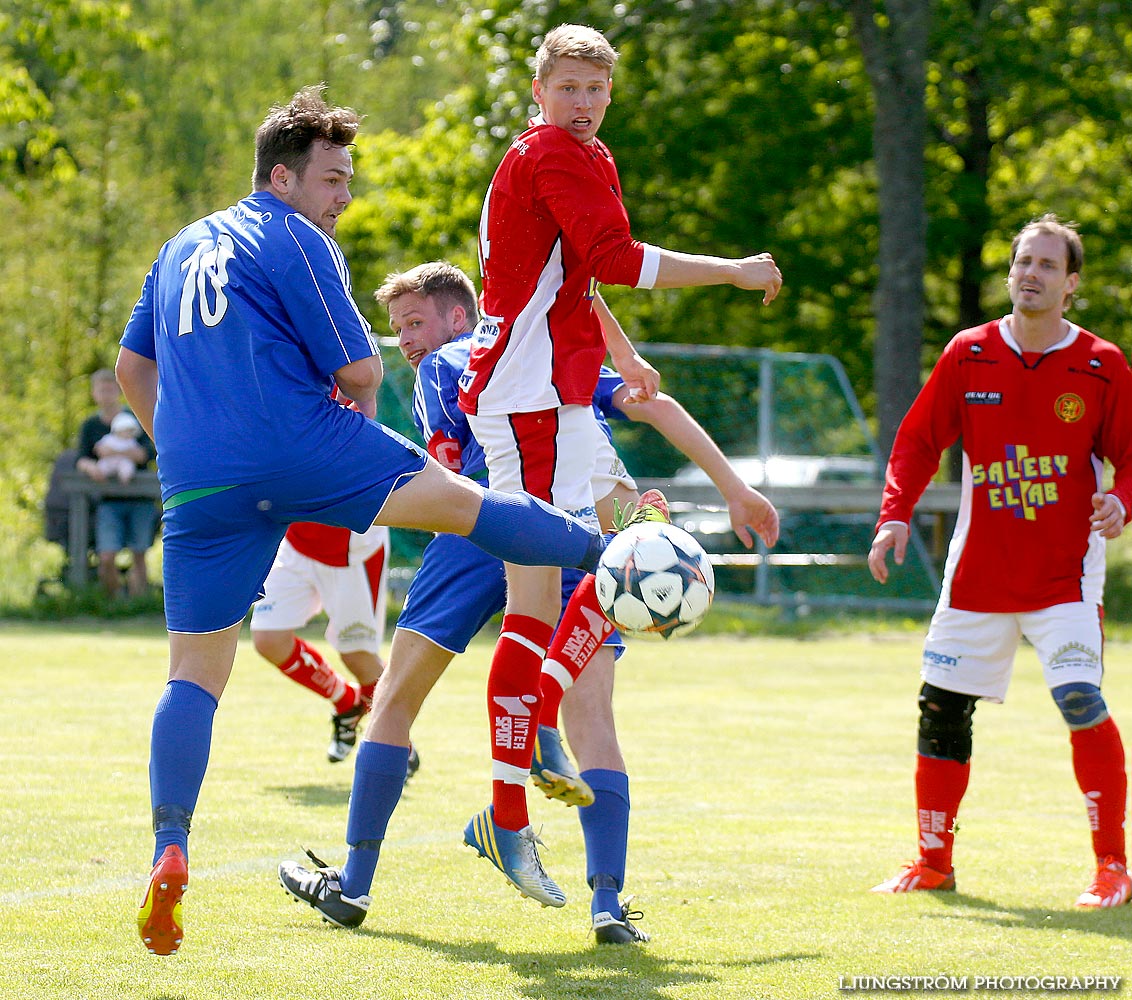 Lerdala IF-Saleby IF 4-3,herr,Lerdala IP,Lerdala,Sverige,Fotboll,,2014,89992