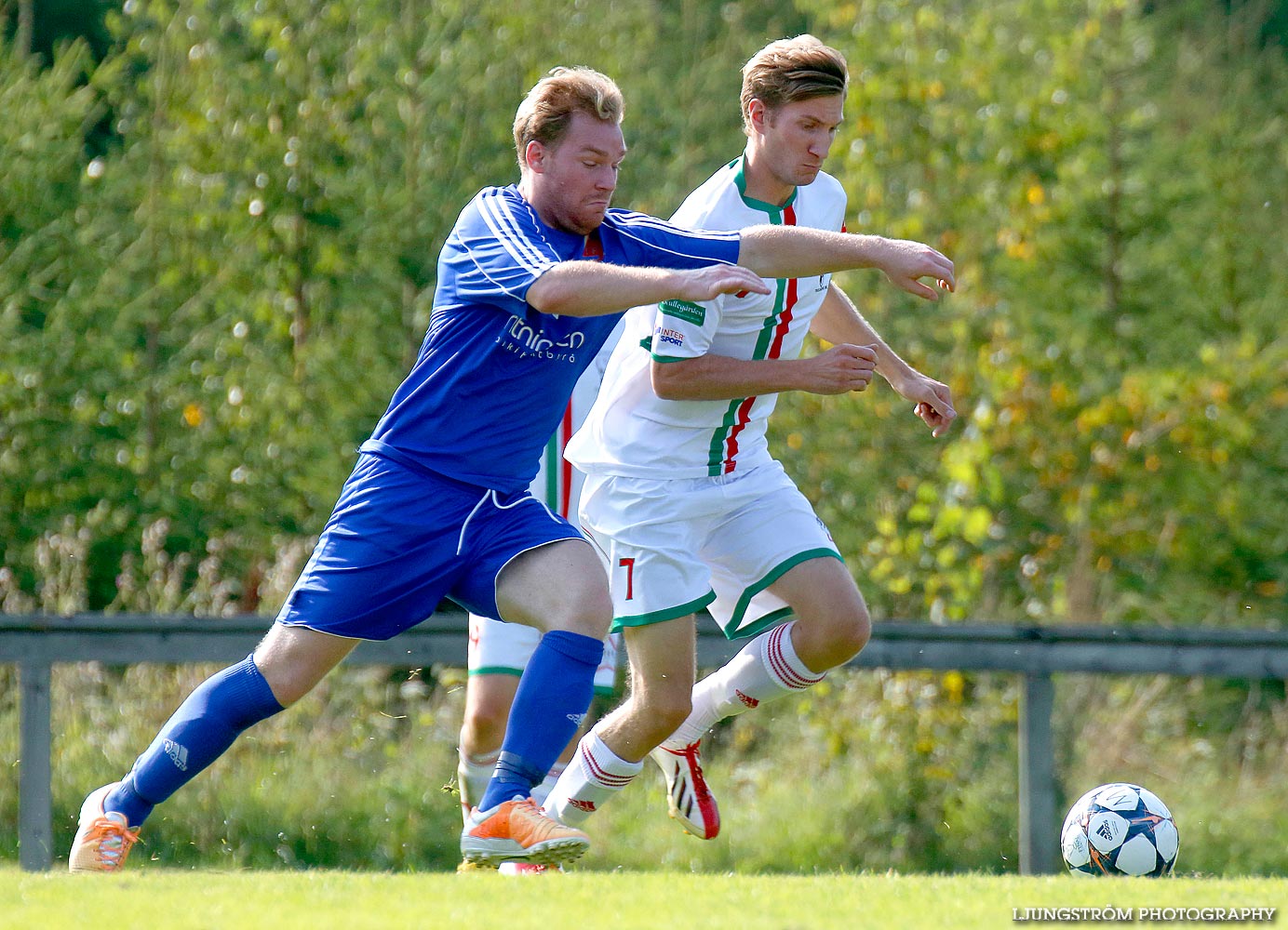 Lerdala IF-Hällekis/Trolmen 1-5,herr,Lerdala IP,Lerdala,Sverige,Fotboll,,2014,93382