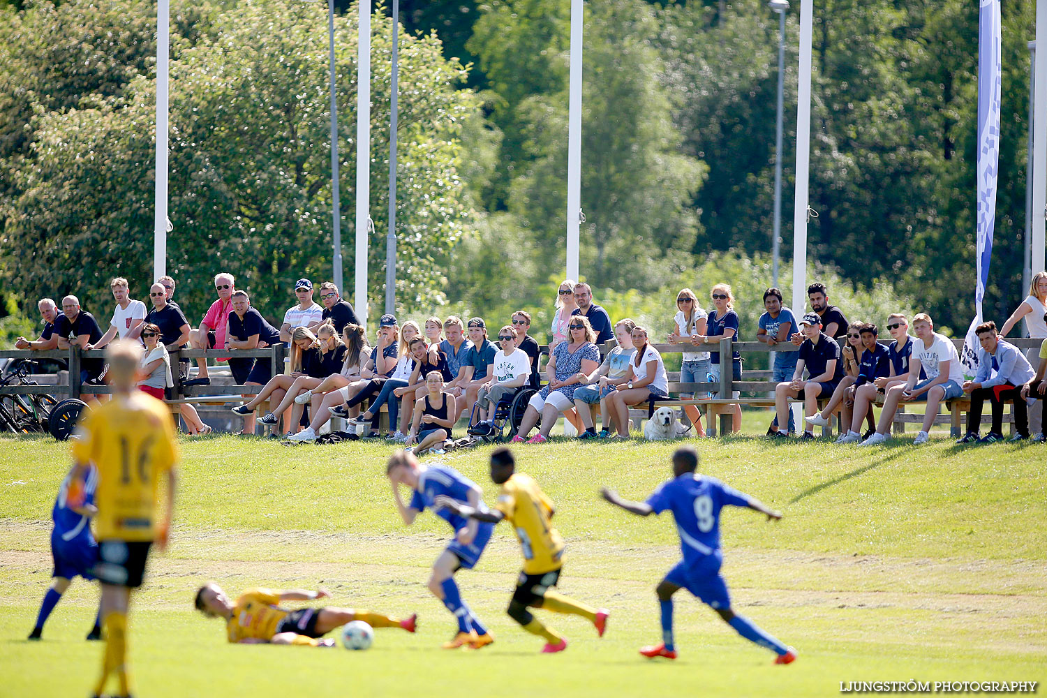 IFK Skövde FK P16-IF Elfsborg P16 3-1,herr,Lillegårdens IP,Skövde,Sverige,Fotboll,,2016,137406