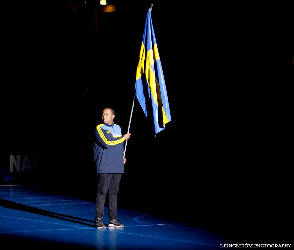 EM-kval Israel-Sverige 0-4,herr,Arena Skövde,Skövde,Sverige,Futsal,,2015,101719