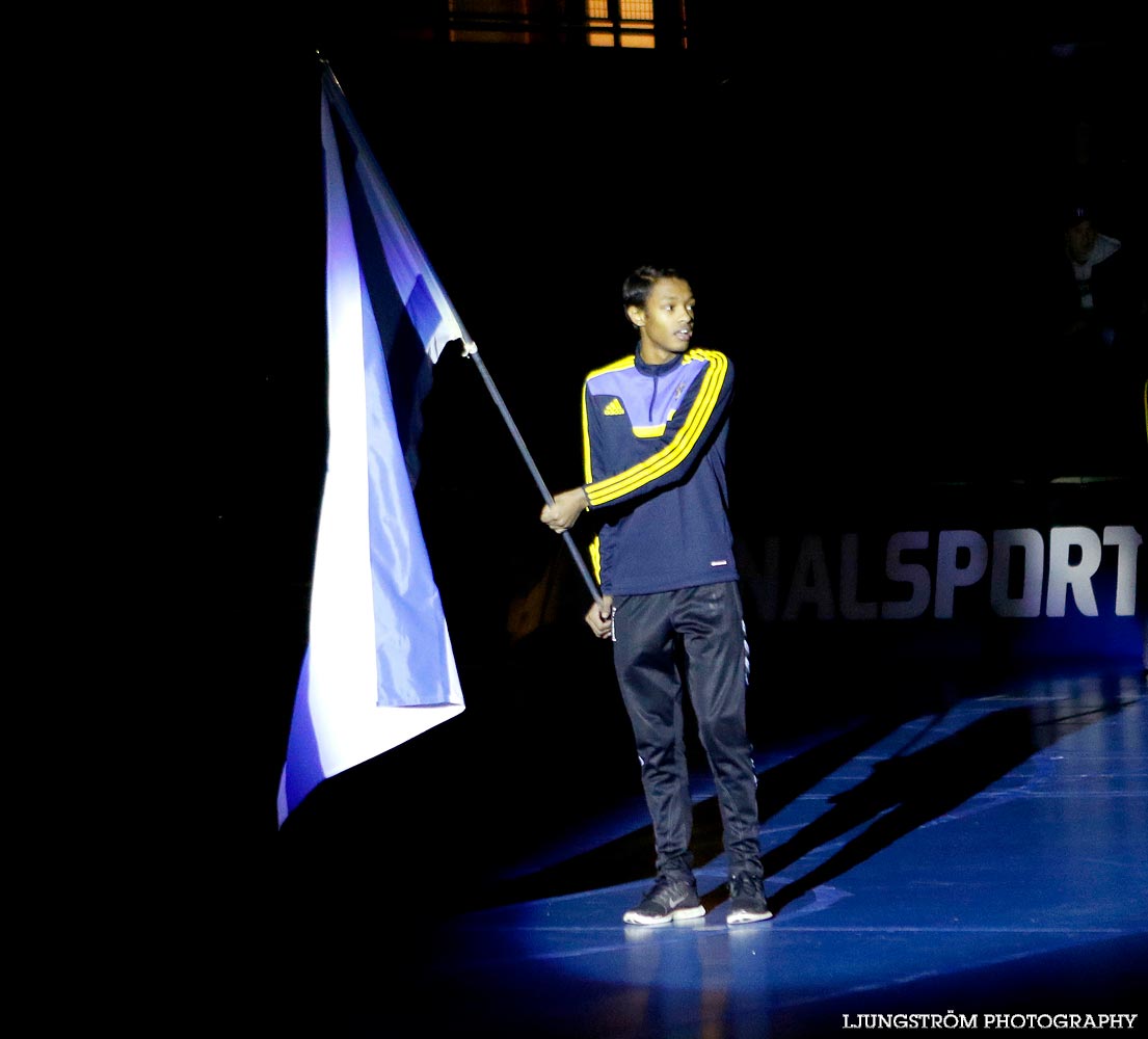 EM-kval Israel-Sverige 0-4,herr,Arena Skövde,Skövde,Sverige,Futsal,,2015,101720