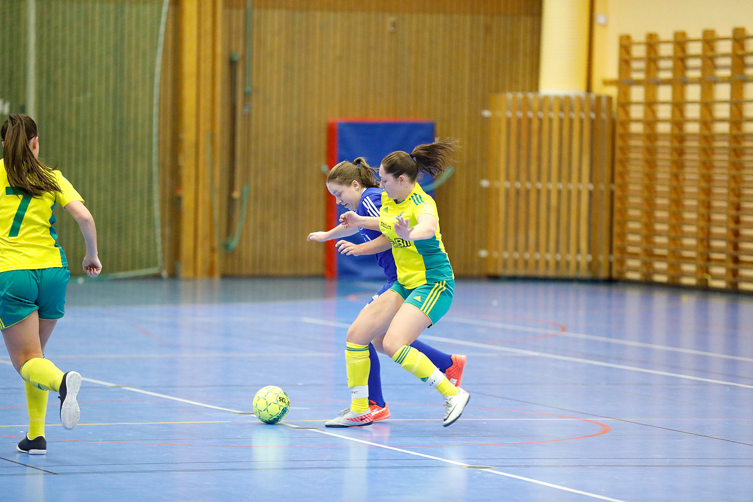 Skövde Futsalcup Damer B-FINAL Hertzöga BK 2-IFK Hallsberg 2,dam,Arena Skövde,Skövde,Sverige,Skövde Futsalcup 2016,Futsal,2016,142788