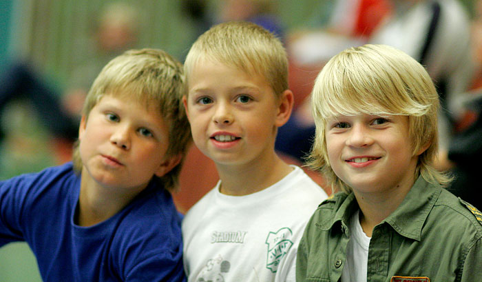 SLA Open Hammarby IF-LIF Lindesberg 45-28,herr,Arena Skövde,Skövde,Sverige,Handboll,,2006,12163