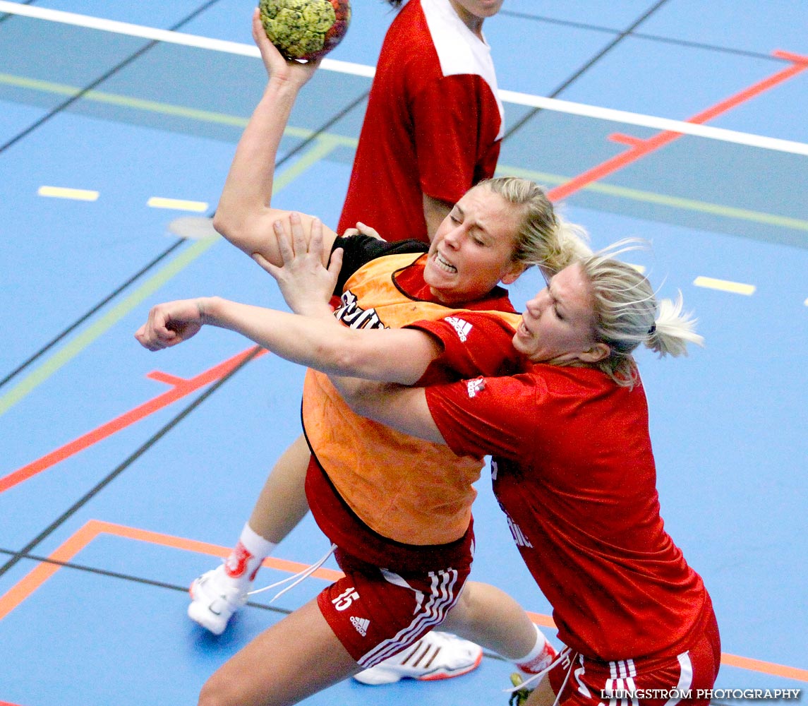 Skövde HF Träning,dam,Arena Skövde,Skövde,Sverige,Handboll,,2008,106545