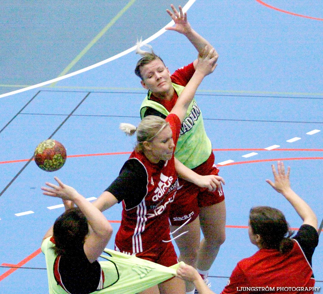 Skövde HF Träning,dam,Arena Skövde,Skövde,Sverige,Handboll,,2008,106550