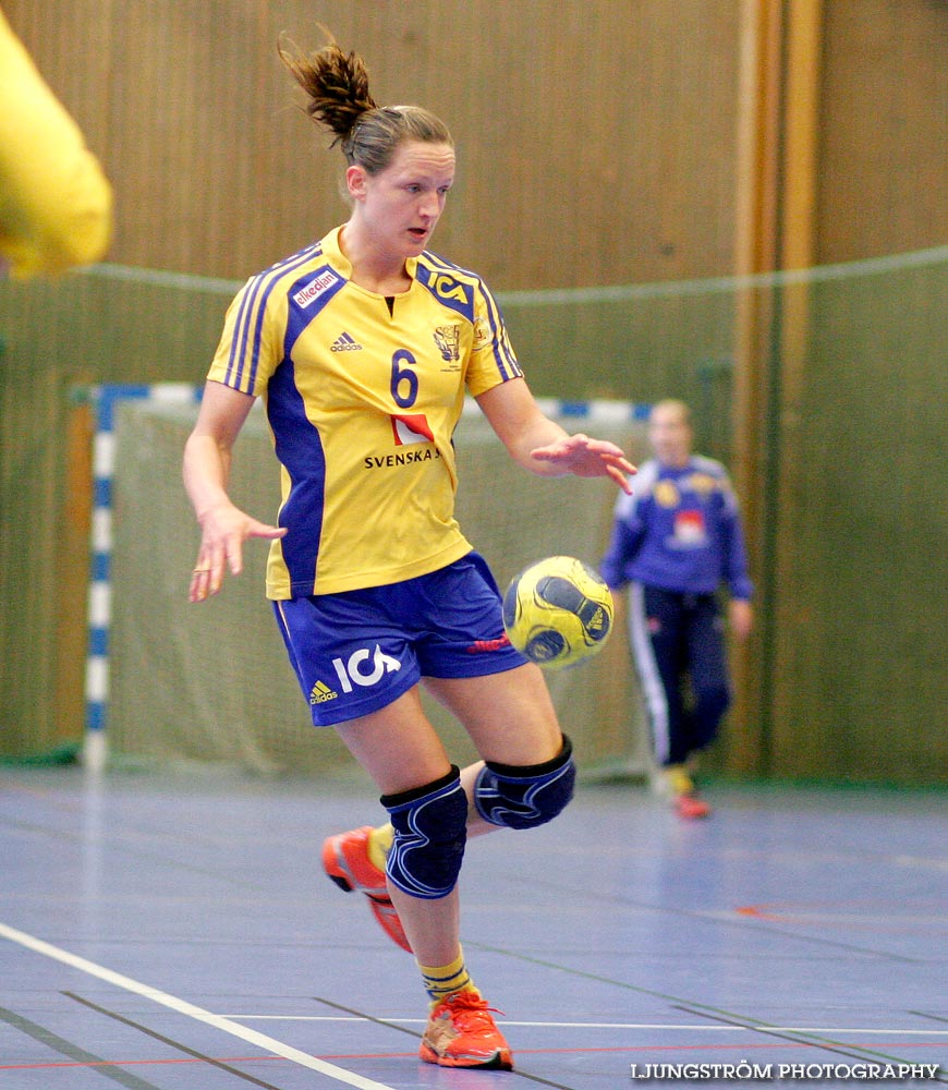 Träningsmatch Sverige-Västsverige 14-9, 16-4, 10-11,dam,Arena Skövde,Skövde,Sverige,Handboll,,2009,17410