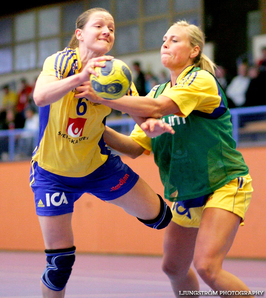 Träningsmatch Sverige-Västsverige 14-9, 16-4, 10-11,dam,Arena Skövde,Skövde,Sverige,Handboll,,2009,17411