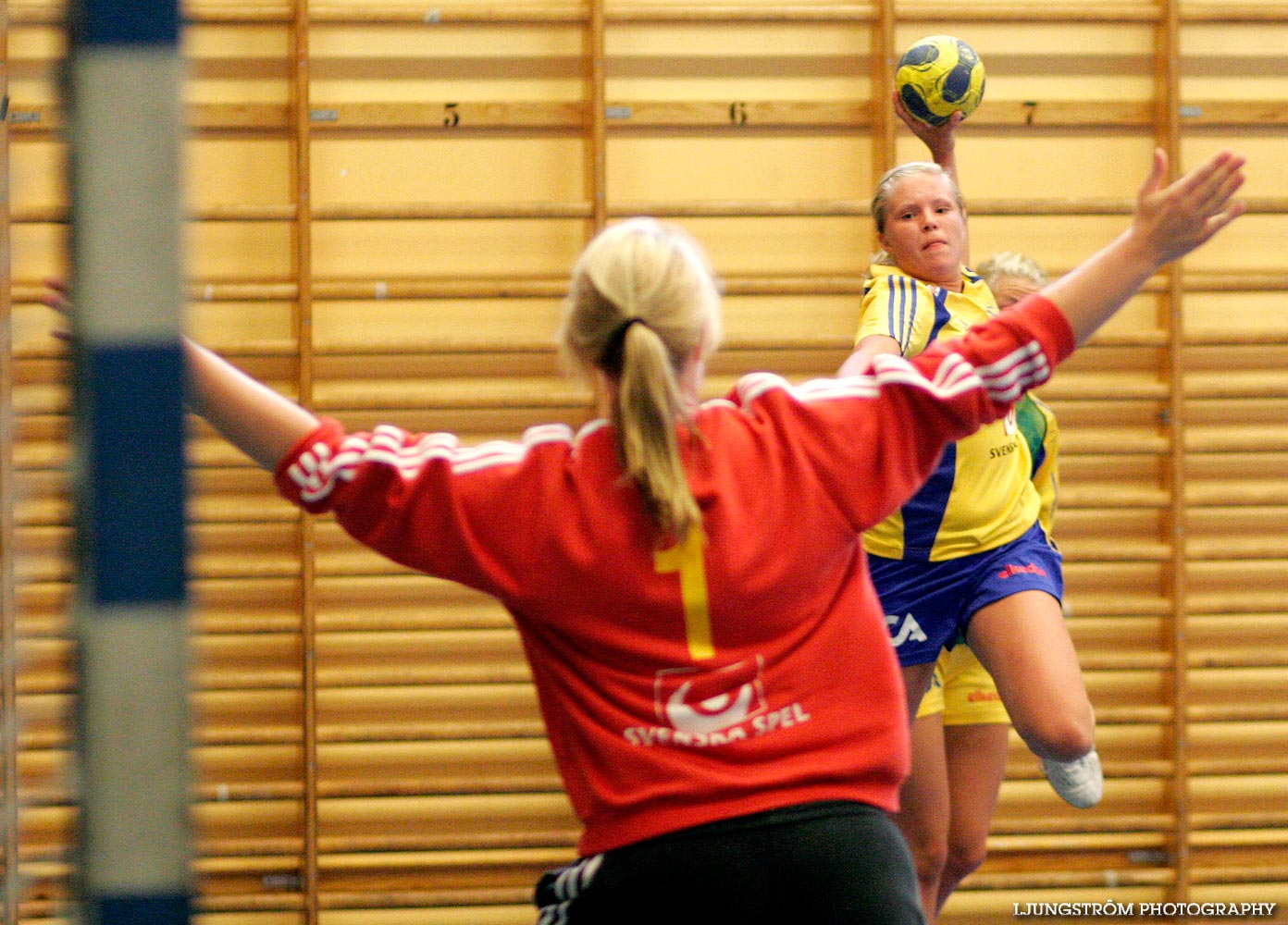Träningsmatch Sverige-Västsverige 14-9, 16-4, 10-11,dam,Arena Skövde,Skövde,Sverige,Handboll,,2009,17430