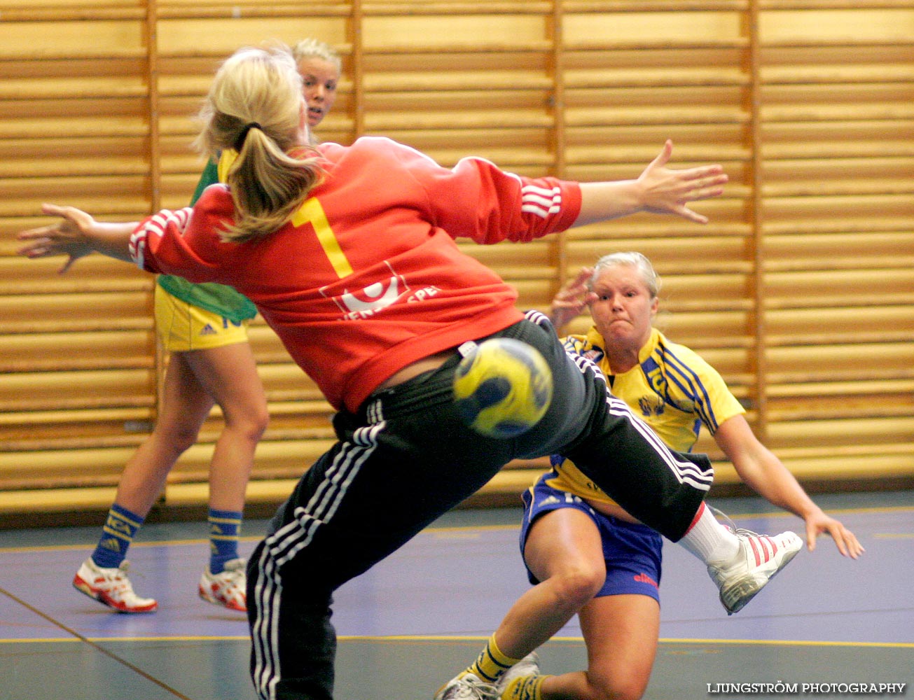 Träningsmatch Sverige-Västsverige 14-9, 16-4, 10-11,dam,Arena Skövde,Skövde,Sverige,Handboll,,2009,17431