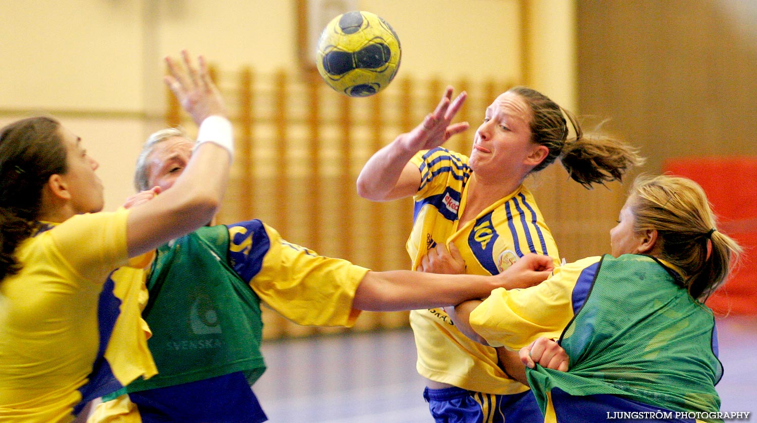 Träningsmatch Sverige-Västsverige 14-9, 16-4, 10-11,dam,Arena Skövde,Skövde,Sverige,Handboll,,2009,17432
