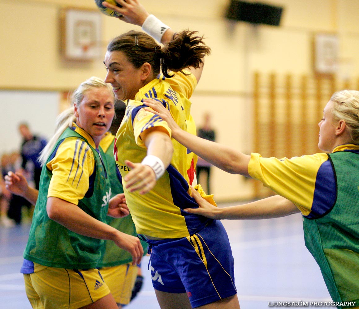 Träningsmatch Sverige-Västsverige 14-9, 16-4, 10-11,dam,Arena Skövde,Skövde,Sverige,Handboll,,2009,17433