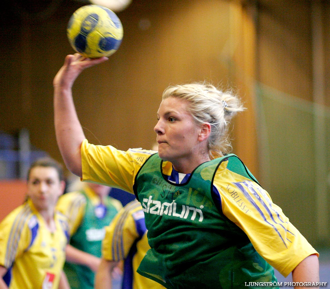 Träningsmatch Sverige-Västsverige 14-9, 16-4, 10-11,dam,Arena Skövde,Skövde,Sverige,Handboll,,2009,17448