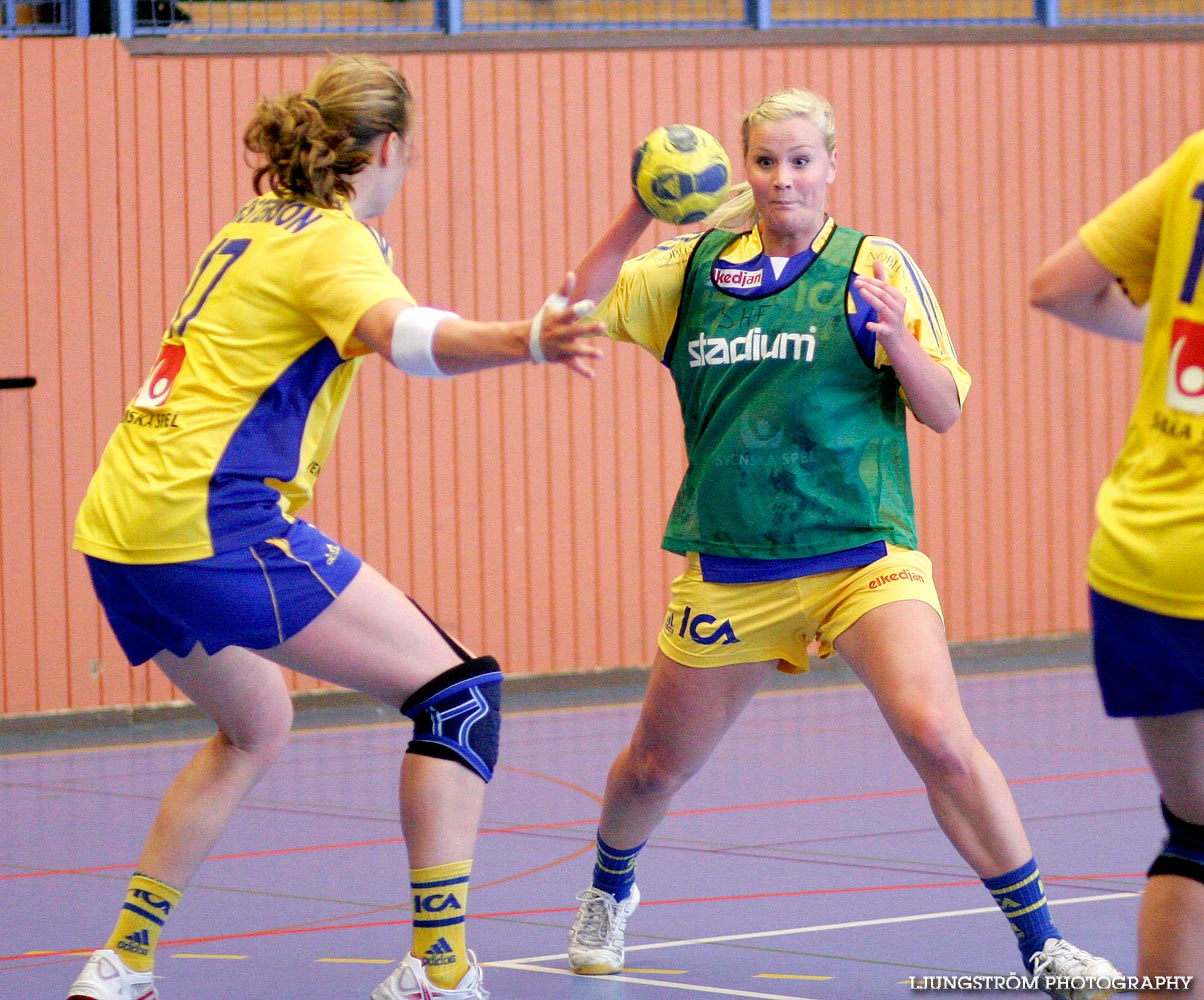 Träningsmatch Sverige-Västsverige 14-9, 16-4, 10-11,dam,Arena Skövde,Skövde,Sverige,Handboll,,2009,17452