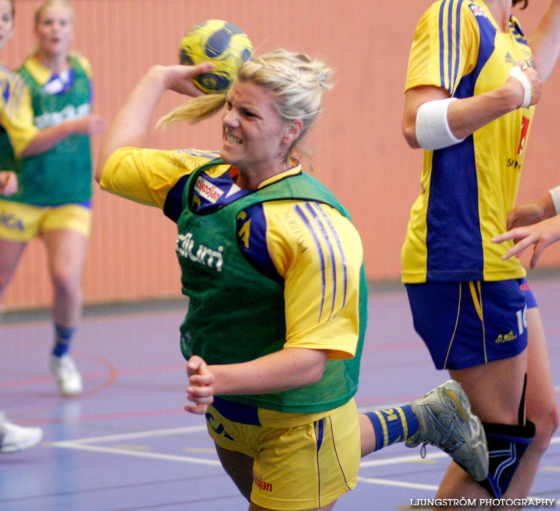Träningsmatch Sverige-Västsverige 14-9, 16-4, 10-11,dam,Arena Skövde,Skövde,Sverige,Handboll,,2009,17455