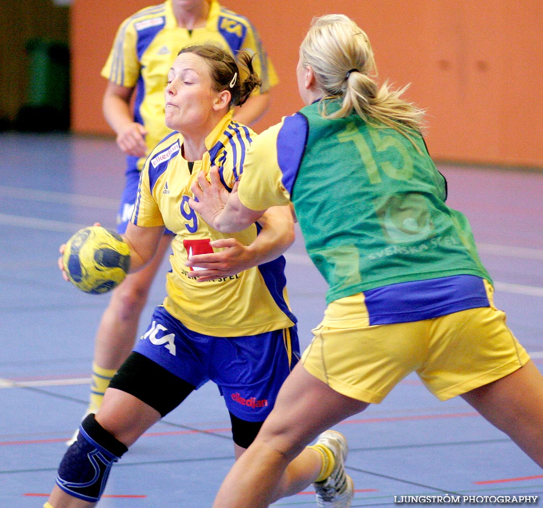 Träningsmatch Sverige-Västsverige 14-9, 16-4, 10-11,dam,Arena Skövde,Skövde,Sverige,Handboll,,2009,17464