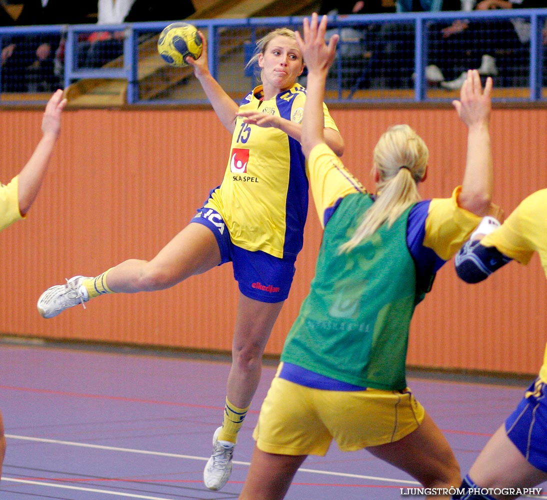 Träningsmatch Sverige-Västsverige 14-9, 16-4, 10-11,dam,Arena Skövde,Skövde,Sverige,Handboll,,2009,17466