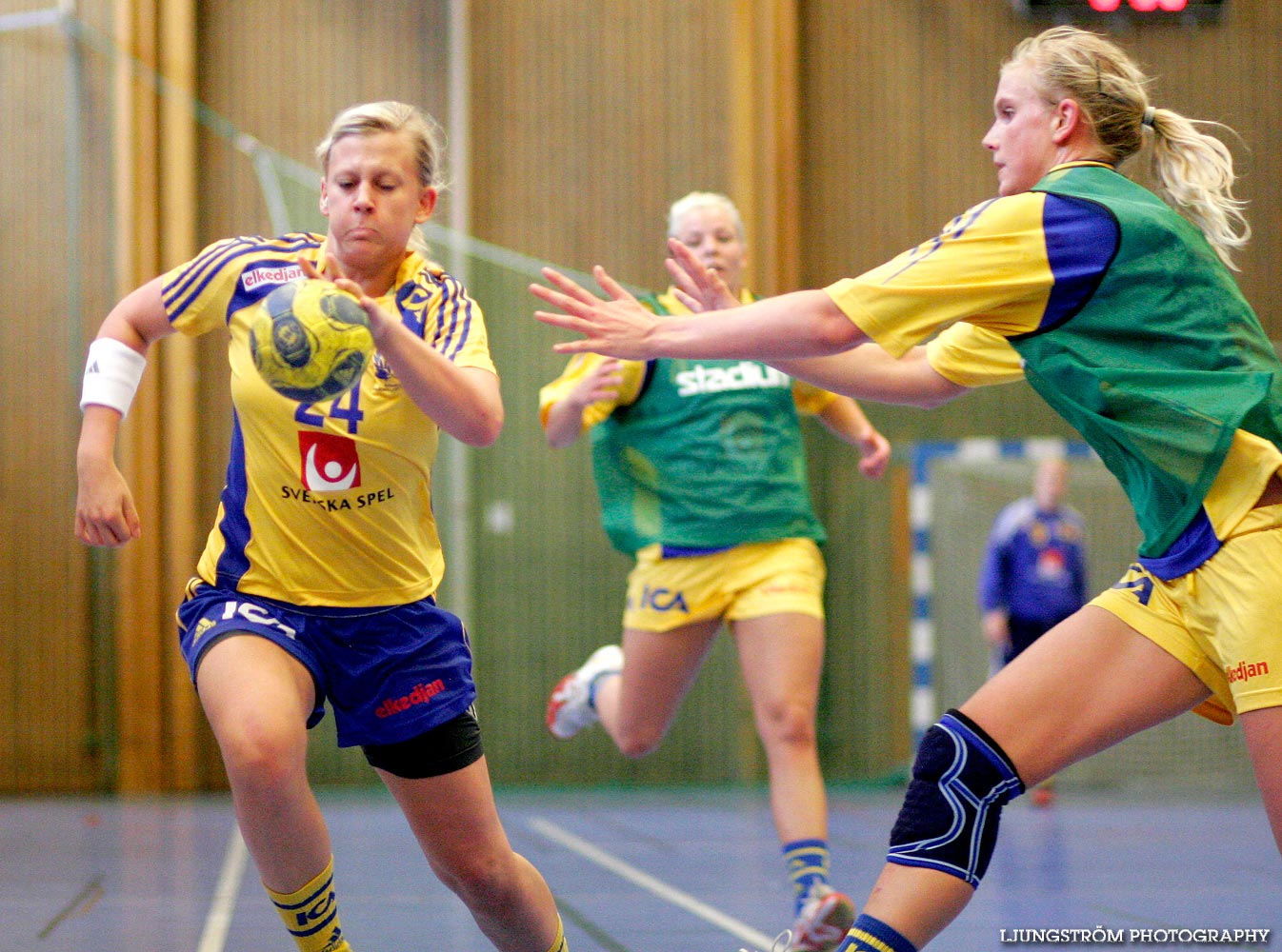 Träningsmatch Sverige-Västsverige 14-9, 16-4, 10-11,dam,Arena Skövde,Skövde,Sverige,Handboll,,2009,17475