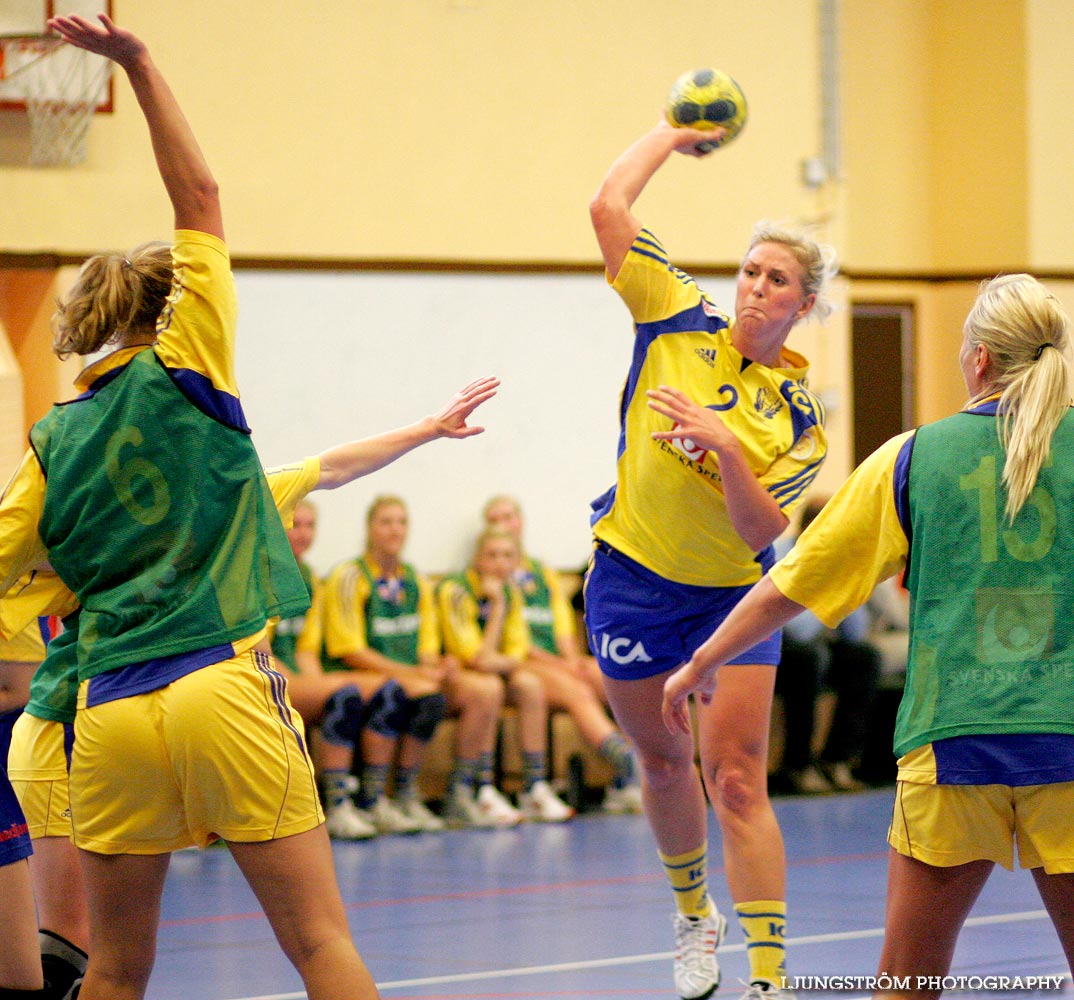 Träningsmatch Sverige-Västsverige 14-9, 16-4, 10-11,dam,Arena Skövde,Skövde,Sverige,Handboll,,2009,17481