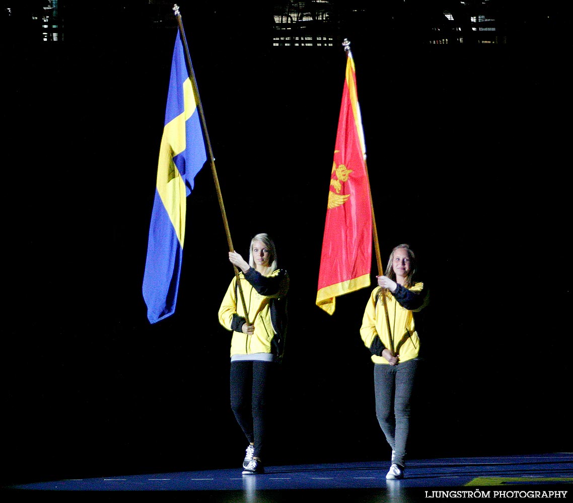 VM-KVAL Sverige-Montenegro 24-17,dam,Arena Skövde,Skövde,Sverige,Handboll,,2009,17582