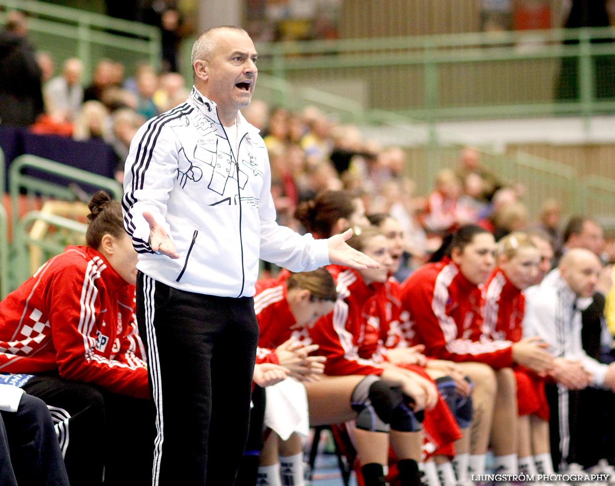 Landskamp Sverige-Kroatien 27-30,dam,Arena Skövde,Skövde,Sverige,Handboll,,2010,31990