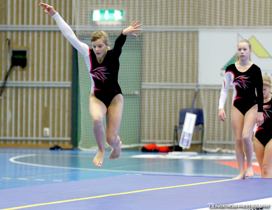 IFK Skövde HK-Eskilstuna Guif 27-30,herr,Arena Skövde,Skövde,Sverige,Handboll,,2012,60743