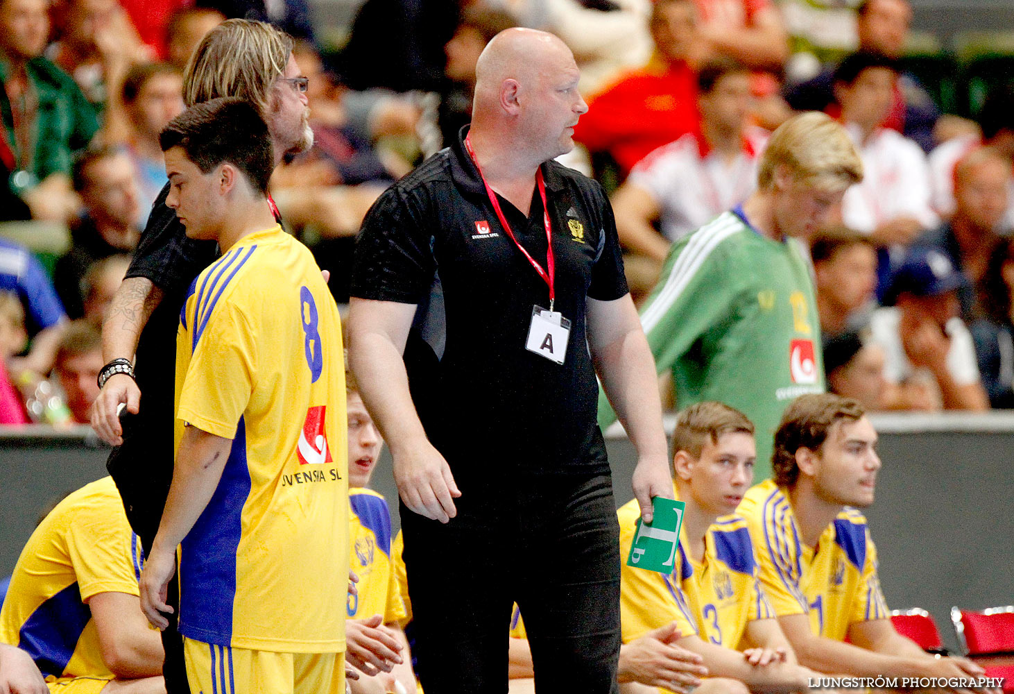 European Open FINAL Sweden-Romania 31-22,herr,Scandinavium,Göteborg,Sverige,Handboll,,2013,129158