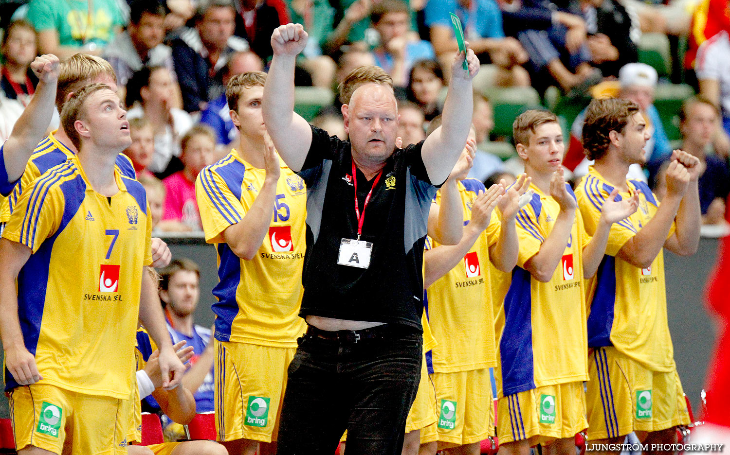 European Open FINAL Sweden-Romania 31-22,herr,Scandinavium,Göteborg,Sverige,Handboll,,2013,129169