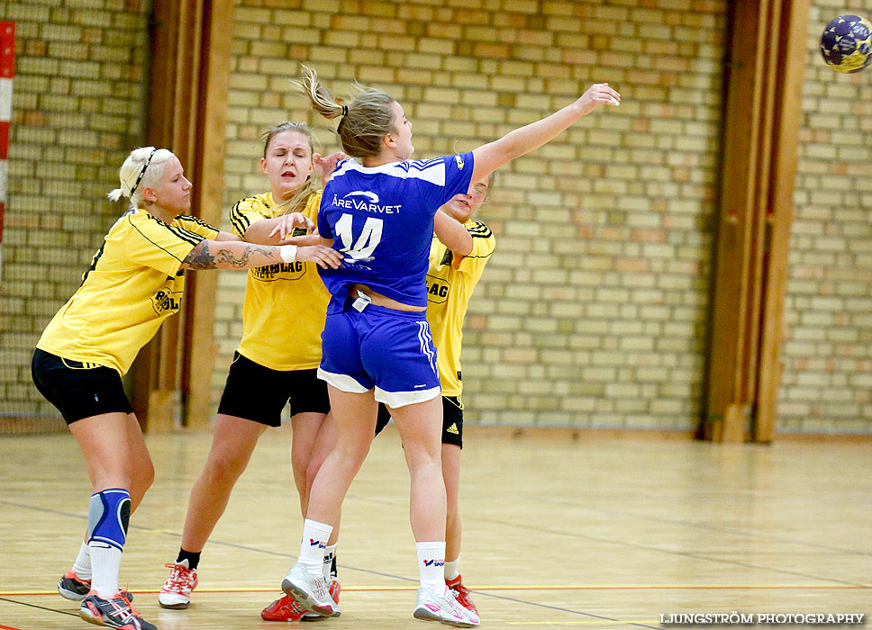 IFK Bankeryd-HK Hylte 22-11,dam,Attarpshallen,Bankeryd,Sverige,Handboll,,2013,77699