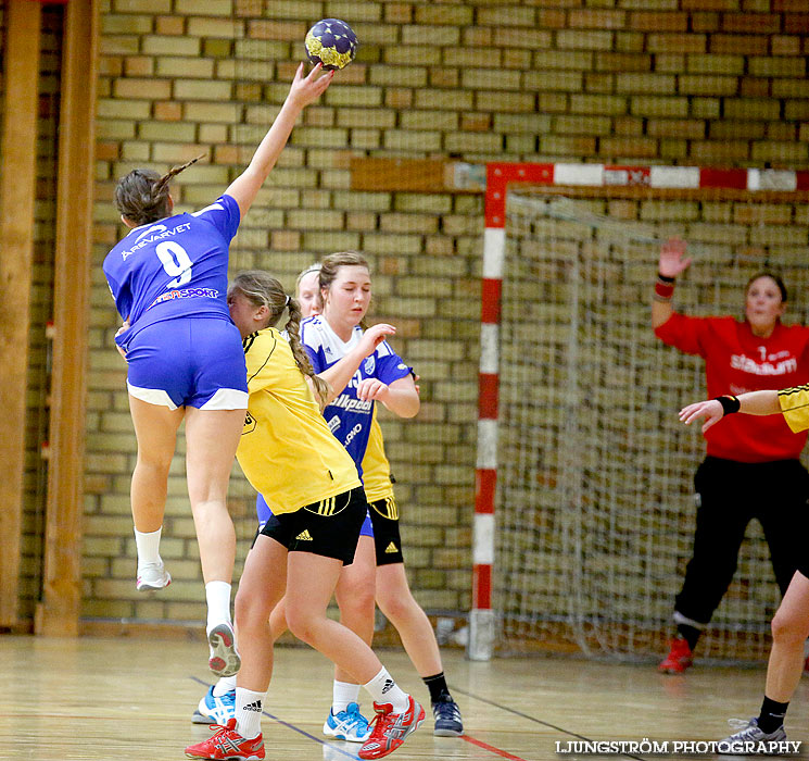 IFK Bankeryd-HK Hylte 22-11,dam,Attarpshallen,Bankeryd,Sverige,Handboll,,2013,77776