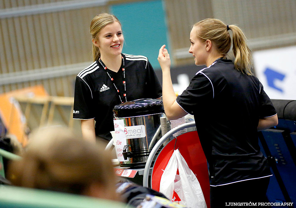 Landskamp Sverige-Slovakien 35-26,dam,Arena Skövde,Skövde,Sverige,Handboll,,2013,77818